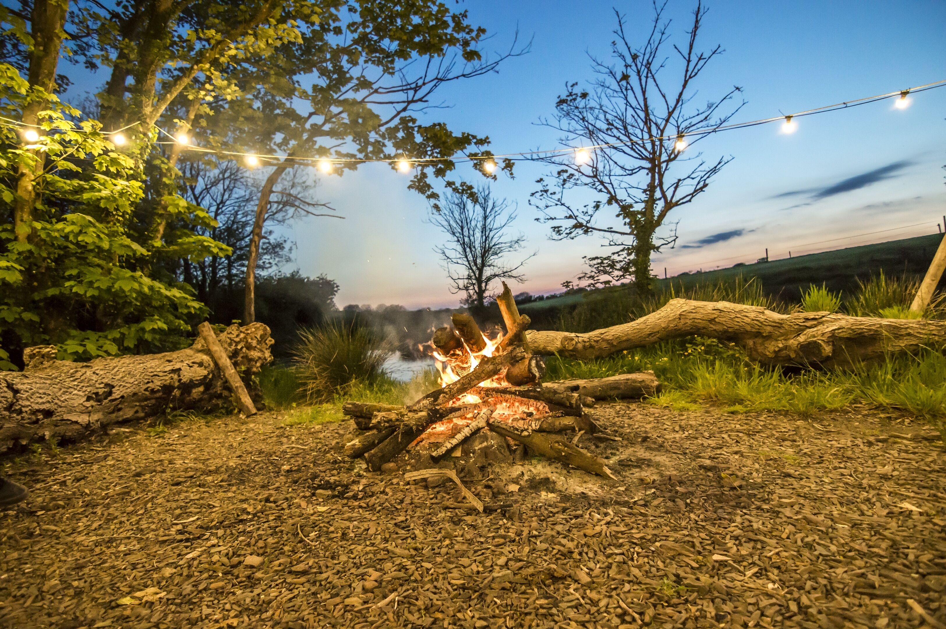 A campfire with string lights in a natural setting.