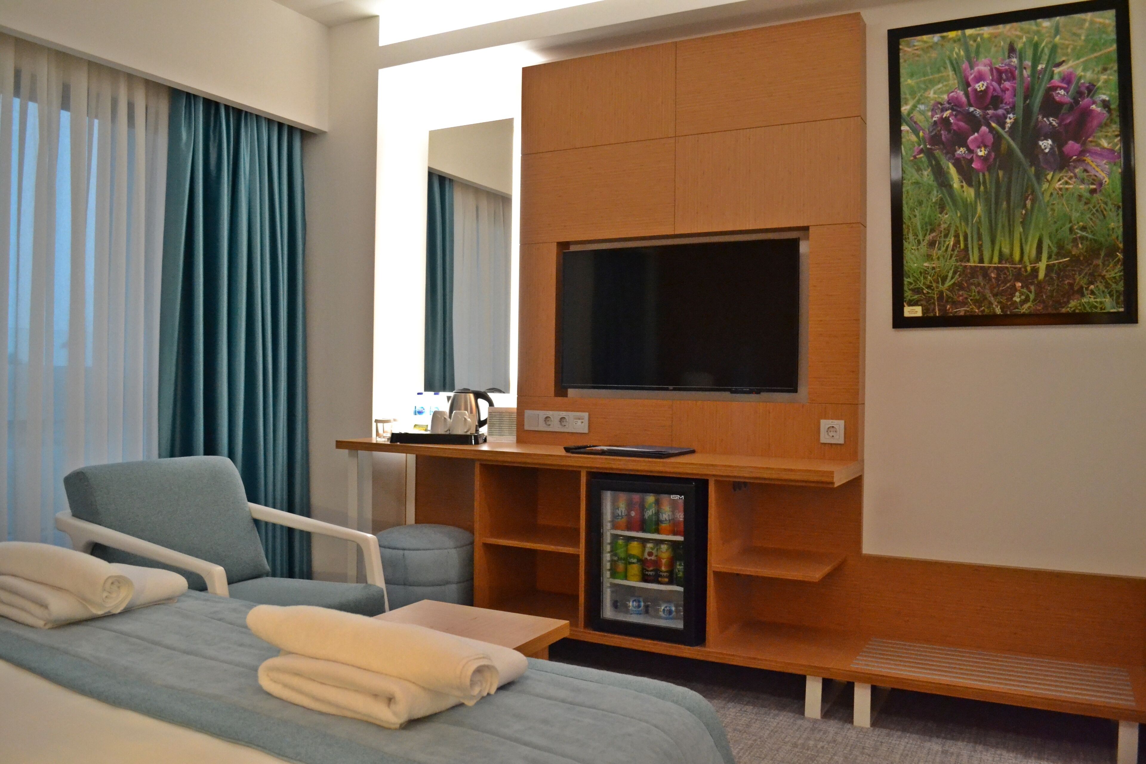 1 bedroom, down duvets, minibar, in-room safe