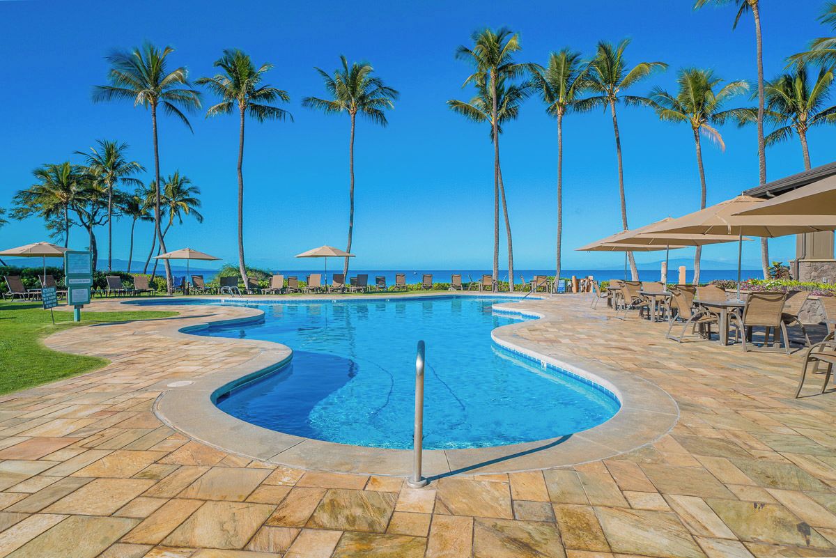 A pool area with palm trees, lounge chairs, and umbrellas.