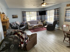 Smart TV, chimenea y libros