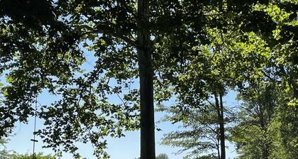 Romantic House on the Lake-Hot Tub Pet Friendly-kayaks-Fishing Boat. Sleeps 8