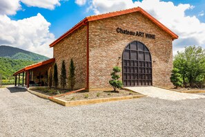 Winery - Chateau Artwine (Telavi)