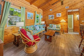 Smart TV, books, stereo - Oceanview Dog Friendly w/ Private Pool, Screened Porch, Smart TVs, Beach Nearby (Salvo)