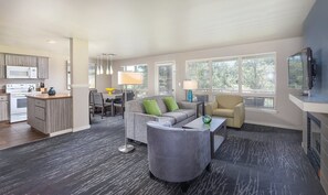 TV, fireplace, video games, DVD player