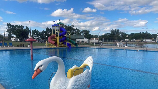 A swimming pool with a swan float and a water slide structure in the background.