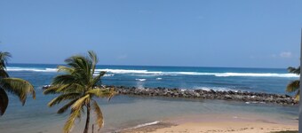 A DORADO DREAM! REMODELED!