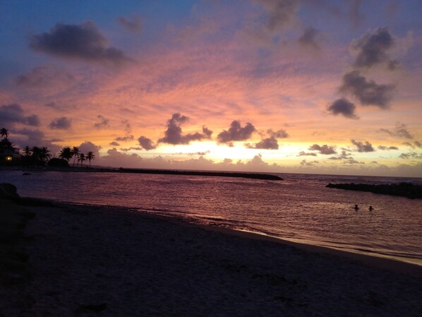 Une plage au coucher du soleil, avec des palmiers et une mer calme.