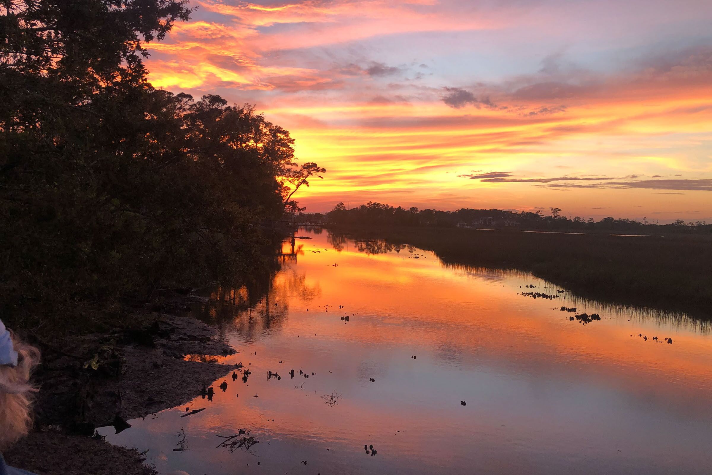 Dockside Paradise: Artsy and Eclectic with Views of Intracoastal Waterway