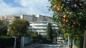 A street view with a row of orange trees in the foreground, a multi-story residential building in the background, and a clear sky. - Neptune 5, top floor (Menton)