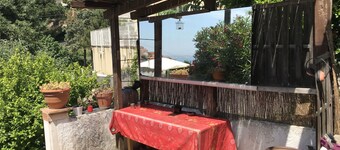 Appartement T1 33m2 au Calme Tonnelle Ombragée