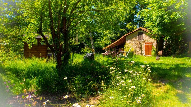 Une maison de campagne en pierre, avec une porte en bois et un petit jardin où poussent diverses plantes et fleurs.