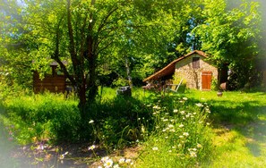 Una casa de piedra rústica con puerta de madera y un pequeño jardín con diversas plantas y flores.