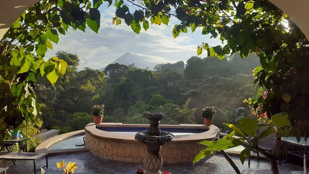 Un espace piscine agrémenté d’une fontaine en pierre, entouré d’une végétation luxuriante et de plantes en pot.