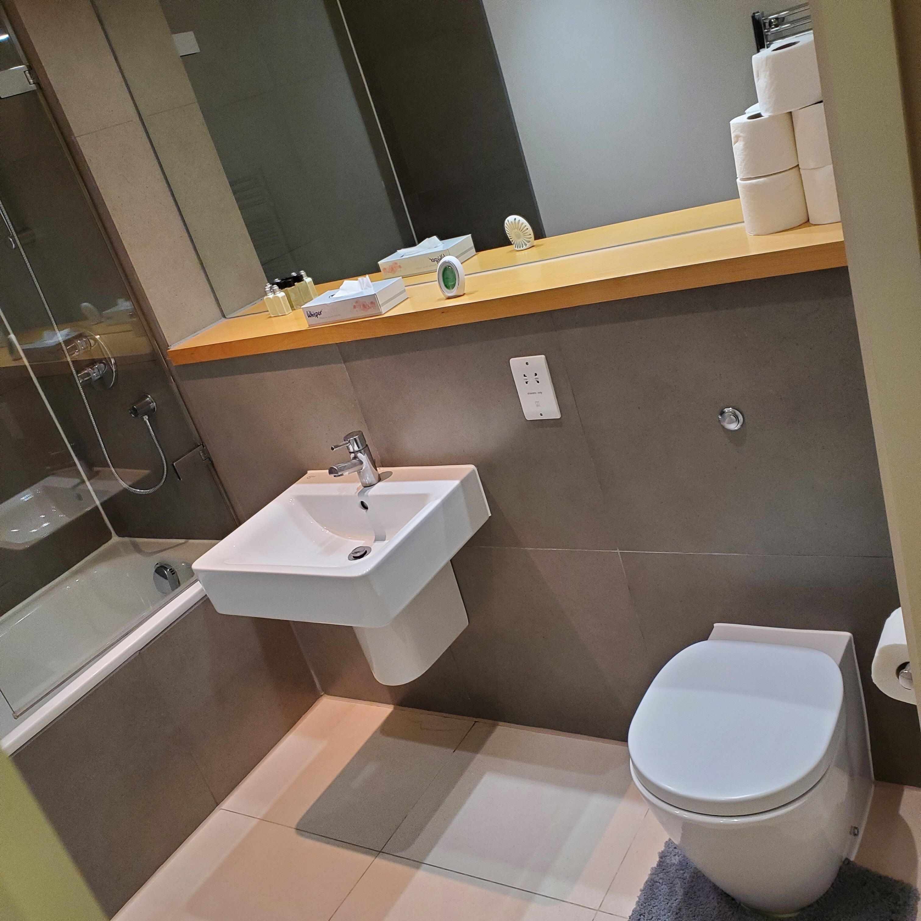 A bathroom with a sink, toilet, and a mirror.
