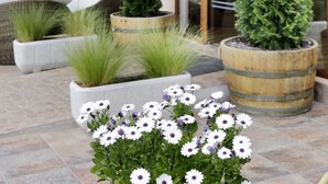 Un patio con mobiliario exterior, plantas en macetas y un amplio ventanal.