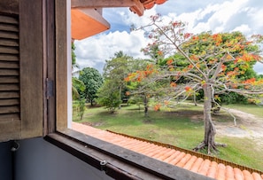 A view from a window with a wooden frame and a tiled floor, overlooking a garden with a tree bearing orange flowers and green foliage.