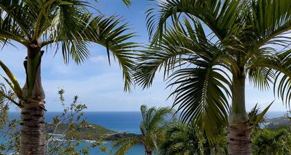 Sunset, Sunrise & Ocean Views, 3 Bed 4.5 Bath, Close to Cruz Bay & Beaches. Gym