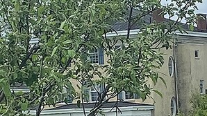A bird perched on a branch in front of a building with a porch and columns. - The Garden Suite in this National Historic Landmark in the Village of Geneseo (Geneseo)