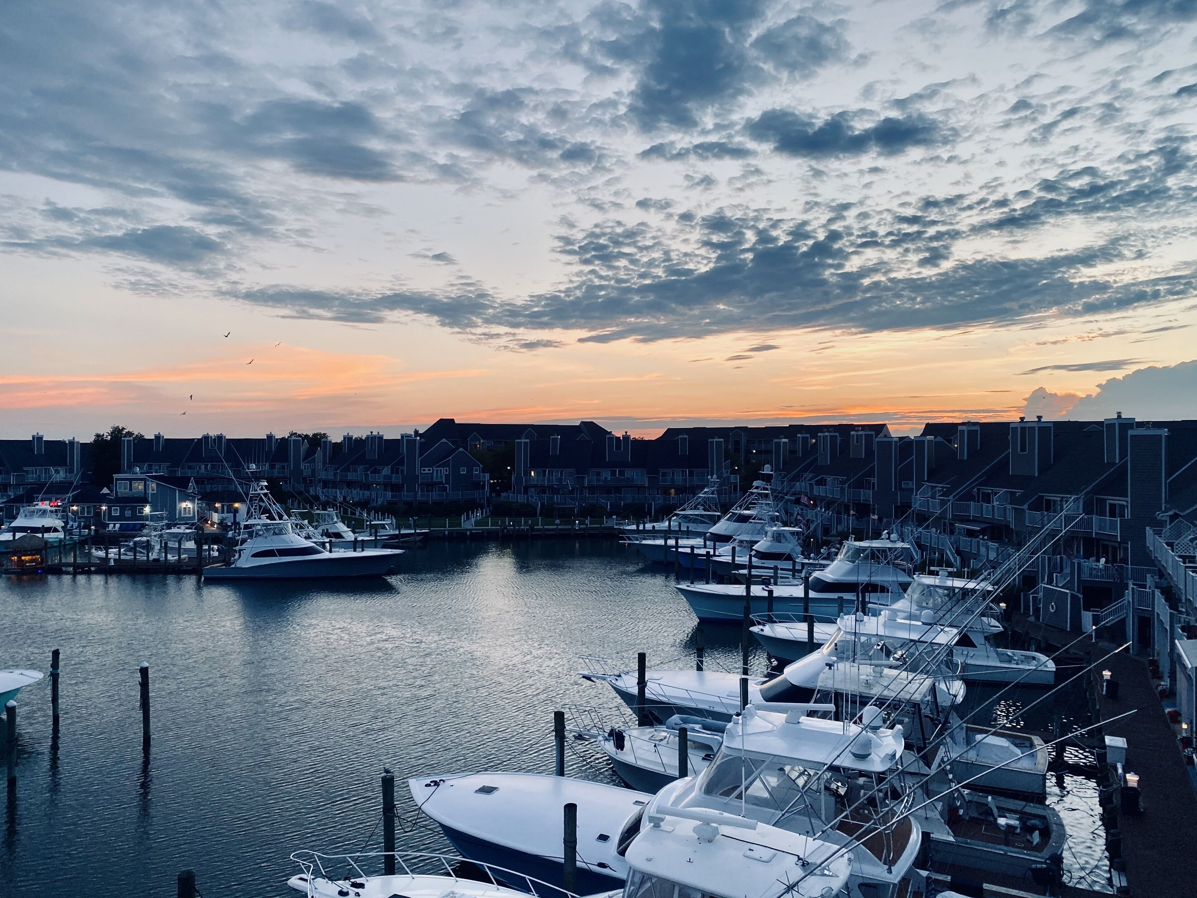 A marina with boats docked, surrounded by residential buildings.