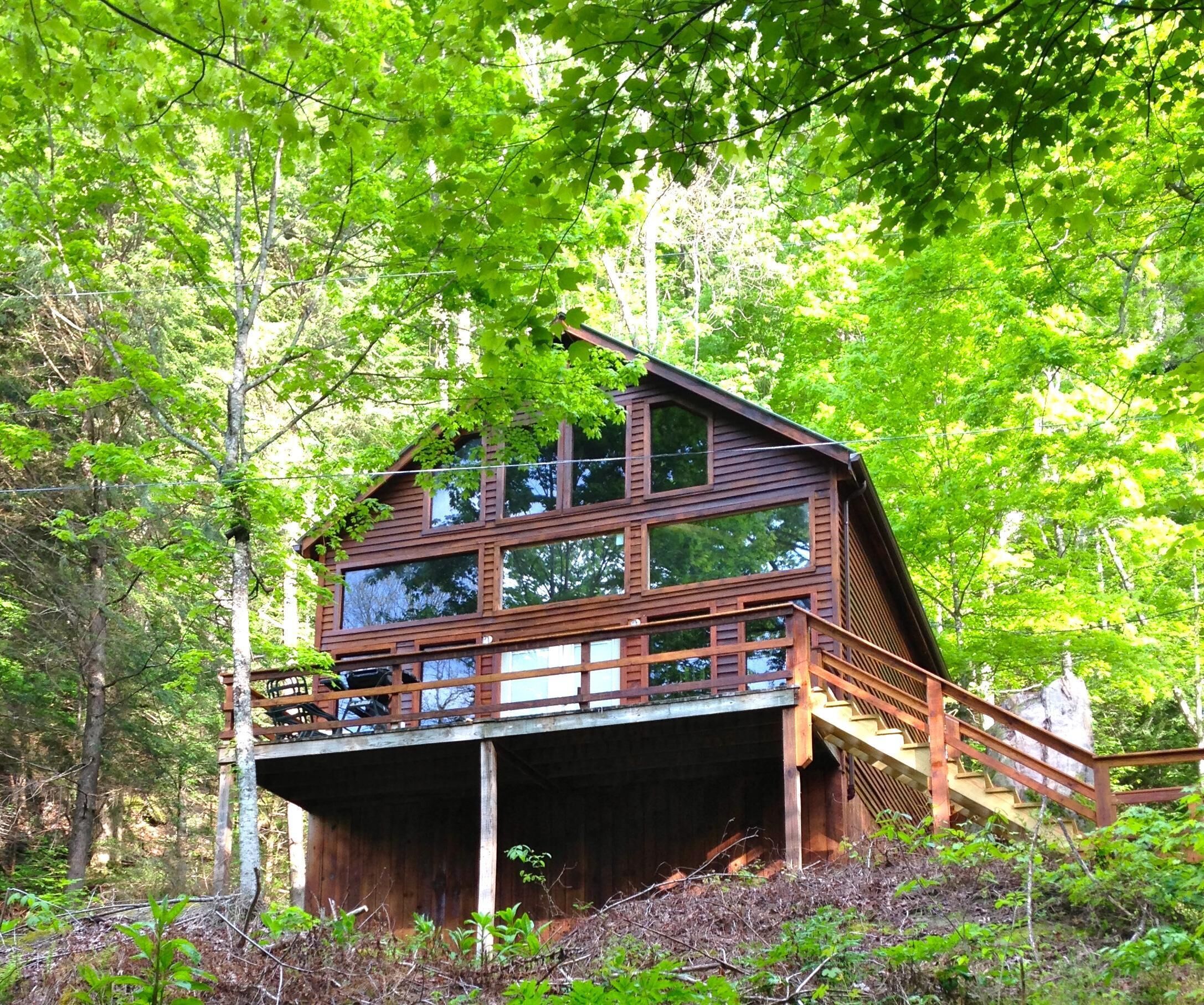 Cave Hollow Cabin with a hot tub and wi-fi