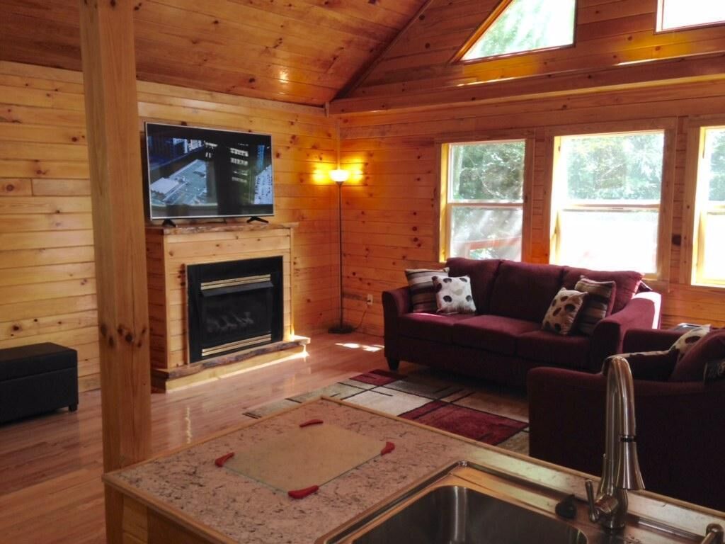 Stunning 3 bedroom cabin in Cave Hollow with hot tub and internet