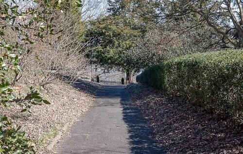 Renovated Duplex in Historic Old Salem Home
