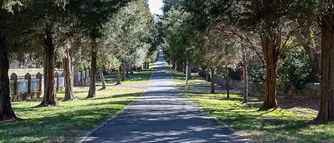 Terrein van de accommodatie