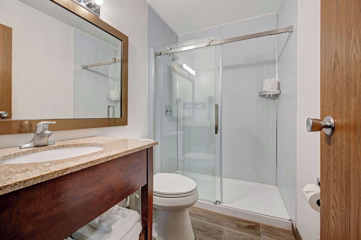 Standard Room, 1 King Bed, Non Smoking | Laptop workspace, blackout drapes, iron/ironing board, WiFi (free)