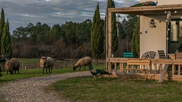 Jardines del alojamiento
