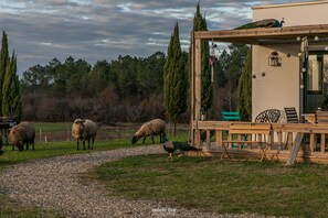 Property grounds - Description (La Clotte)