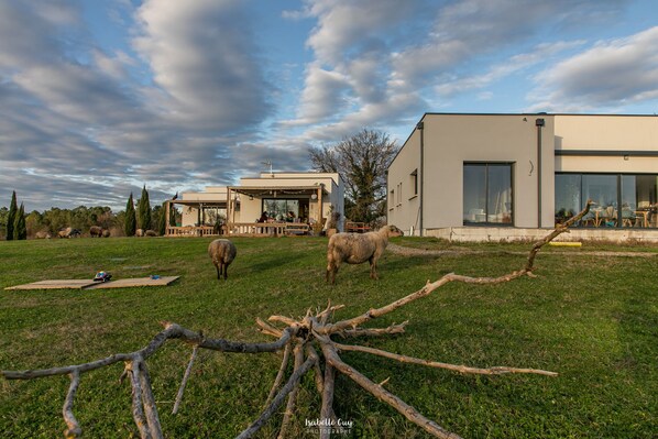 Property grounds - Description (La Clotte)