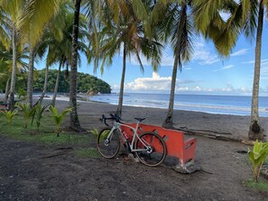 Une plage avec un vélo garé sous des palmiers, un sentier sablonneux et une vue sur l’océan et une île boisée.