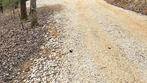 A cabin with a red roof, surrounded by a gravel driveway and trees. - Cozy Wooded Cabin in the Heart of RRG! (Campton)