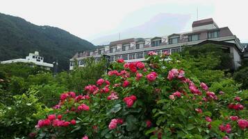 Jardines del alojamiento