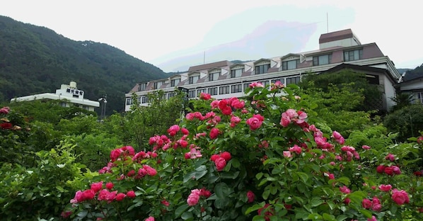 Overnatningsstedets område