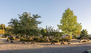 Property grounds - EL Cortijo (Ronda)