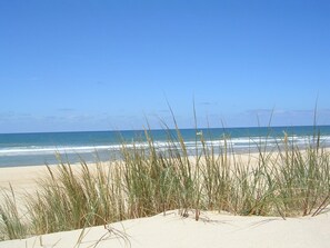 In StrandnÀhe