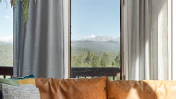 Smart TV, fireplace, books, offices