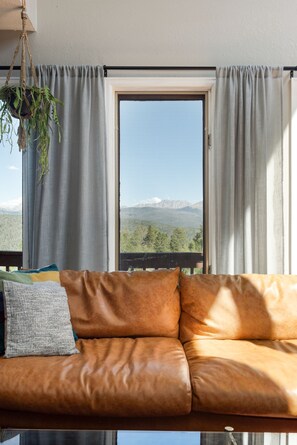 TV connectée, cheminée, livres, espaces bureaux