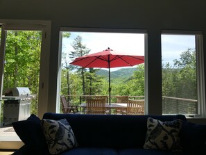 Smart-tv, pejs, dvd-afspiller, bøger