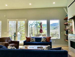 Smart TV, fireplace, DVD player, books
