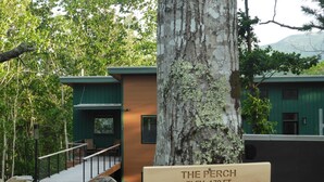 Un edificio llamado "The Perch" con una altura de 170 pies, rodeado de árboles y una terraza de madera.