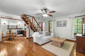 TV, fireplace, DVD player, books