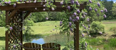 Área da propriedade