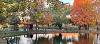 The Sansa Suite at Brants Apple Orchard