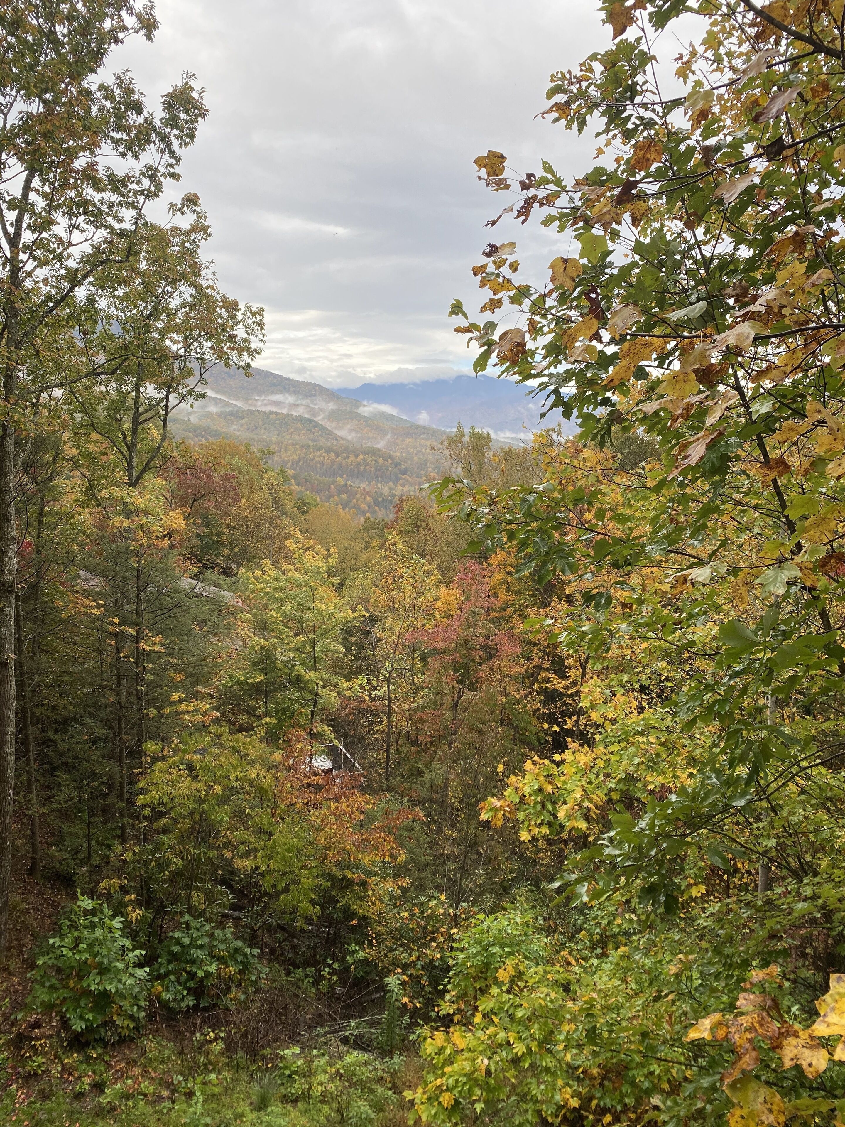 Gone Fishin’ Log Cabin, Hot Tub, Great Mountain View, Golf, Bears, Hiking