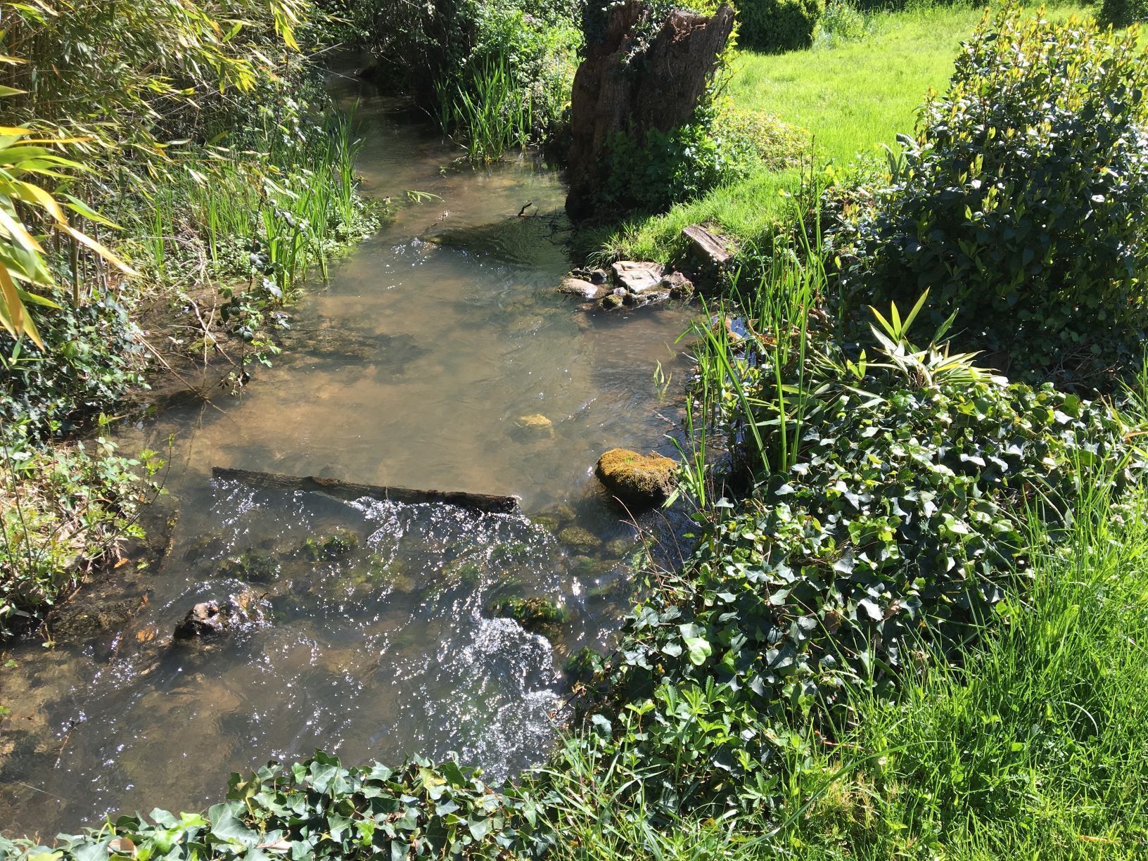 Un arroyo estrecho de aguas transparentes, rodeado de abundante vegetación y rocas.
