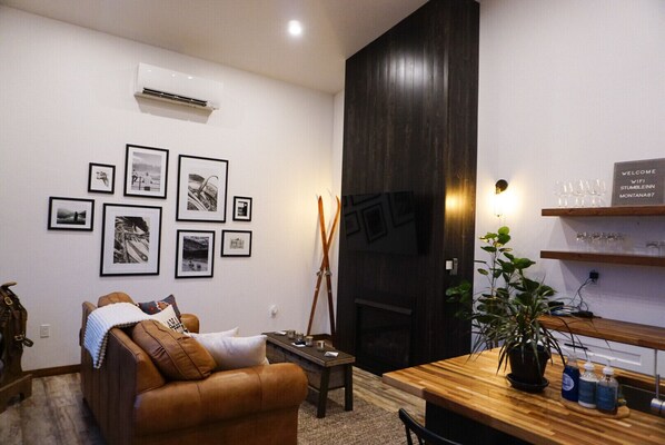 Smart TV, fireplace, books