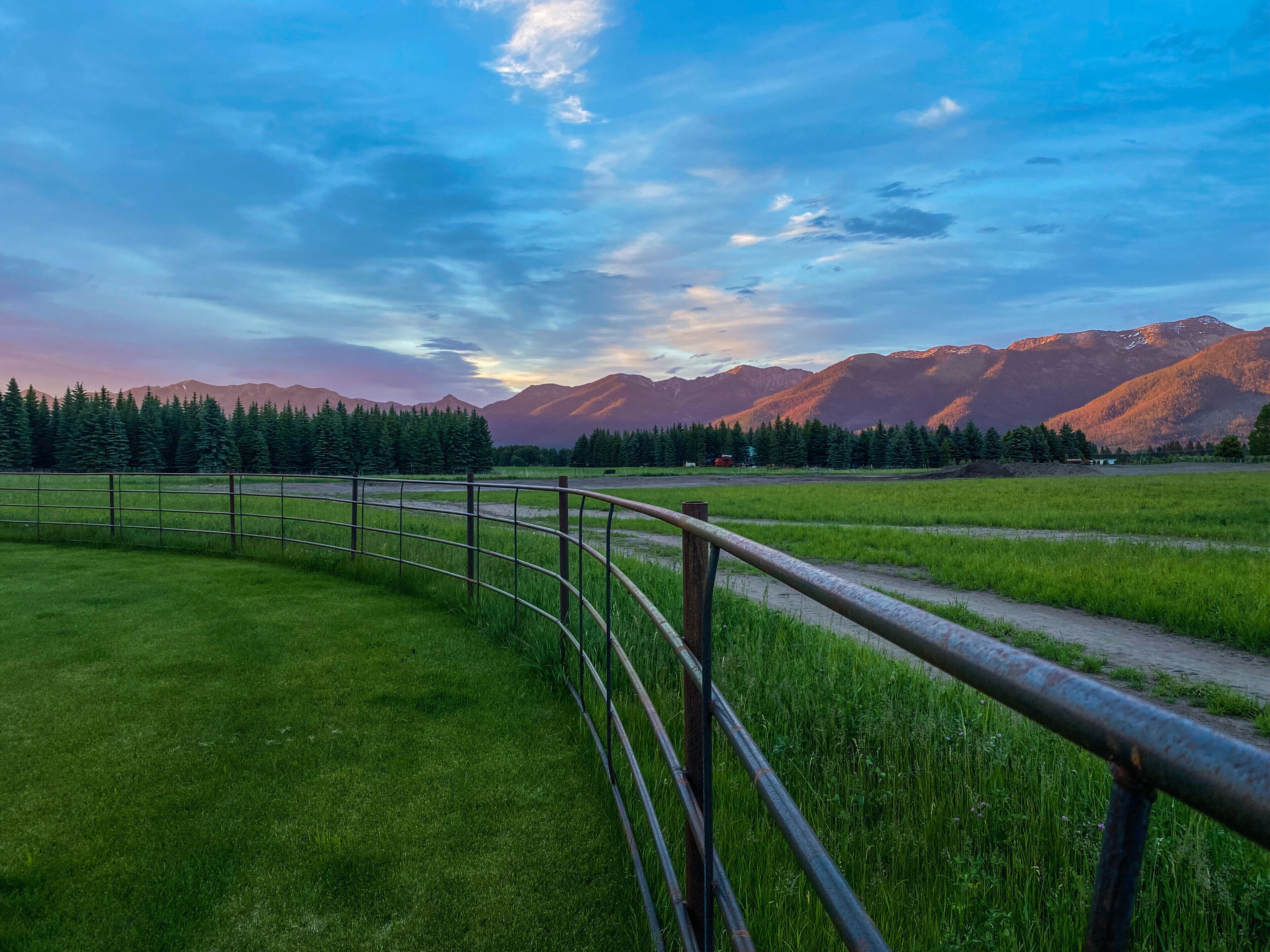 A rural landscape with a metal fence, green fields, and mountains in the background.