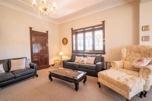 电视、壁炉、Netflix、流媒体服务